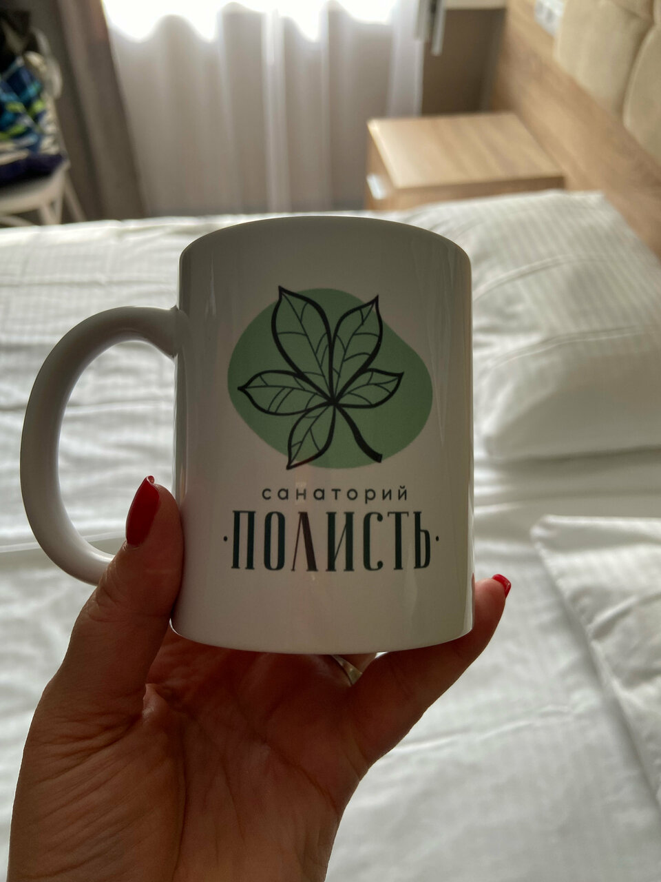 Гостиница Полисть Старая Русса-176